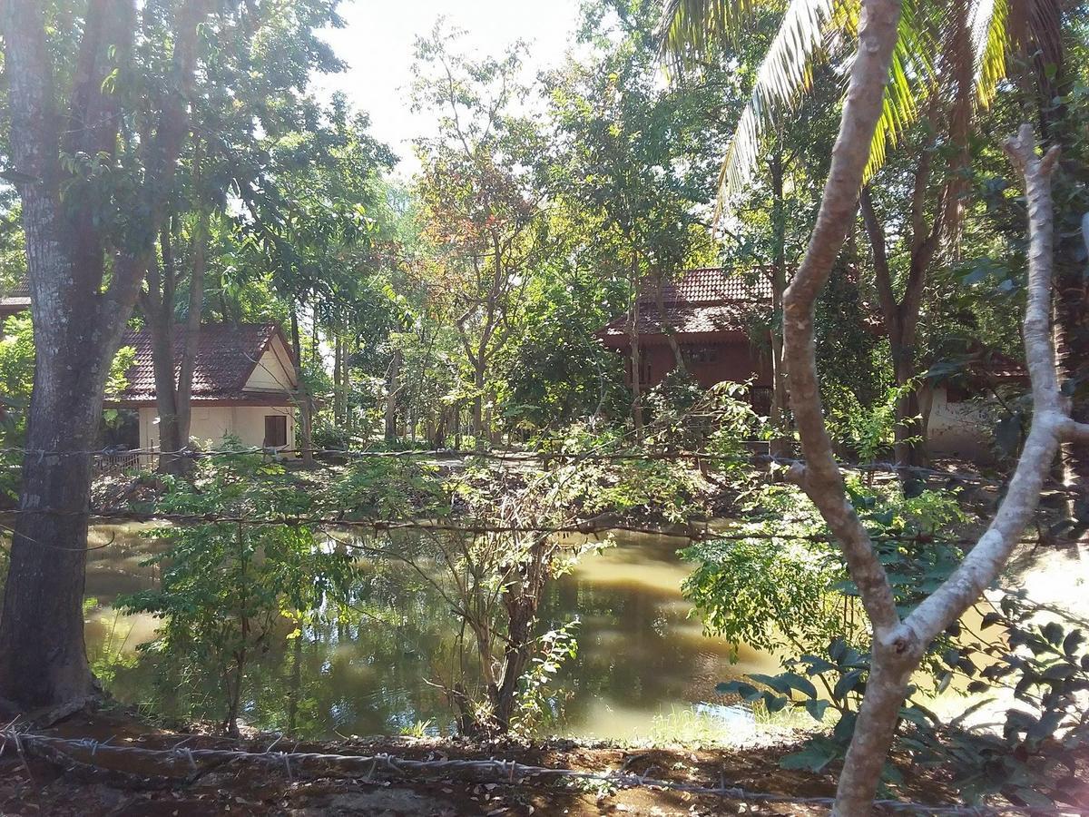 Your Home In Mae Rim Ban Muang Pha Екстер'єр фото