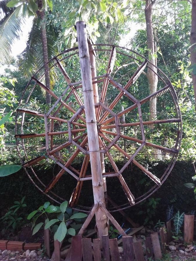 Your Home In Mae Rim Ban Muang Pha Екстер'єр фото