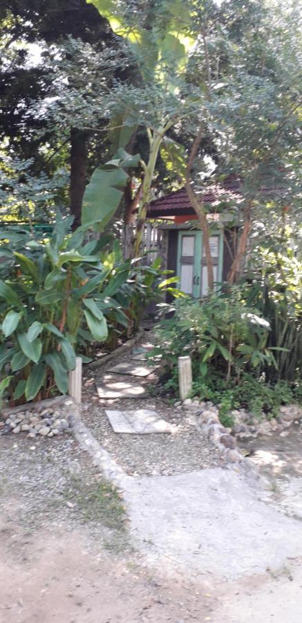 Your Home In Mae Rim Ban Muang Pha Екстер'єр фото